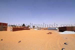 Tala Commune Timimoun (W. Adrar)