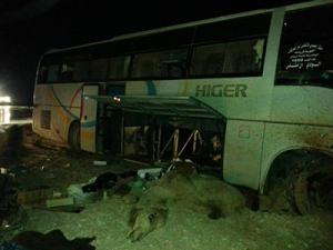 Ouargla - Le dromadaire serait-il en voie de disparition au Sud?