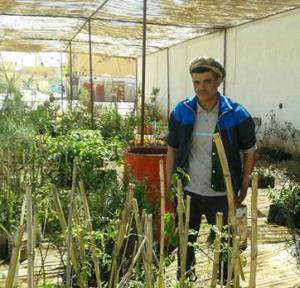 Ouargla - Pépinière de Souk Essebt: Un véritable poumon vert au cœur de la ville