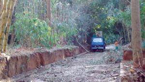 Jardin d’Essai du Hamma à Alger:  Le poumon de la capitale s’asphyxie