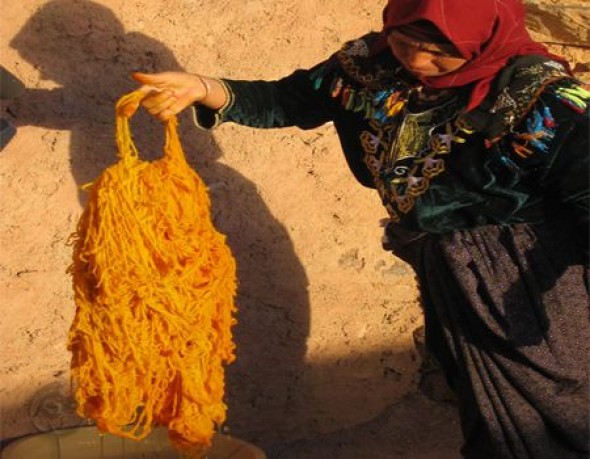 Tlemcen - Tapisserie: L'utilisation de produits naturels pour la teinture de la laine recommandée