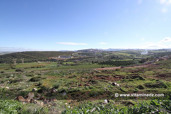 Tlemcen - Station d'epuration de Ain El Hout