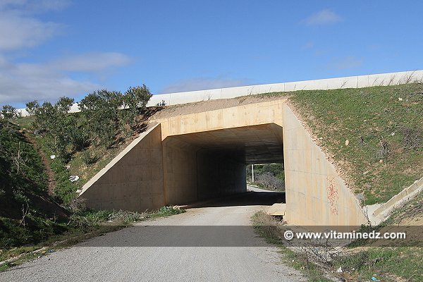 Tlemcen - Autoroute Est Ouest, passage de Ain El Hout