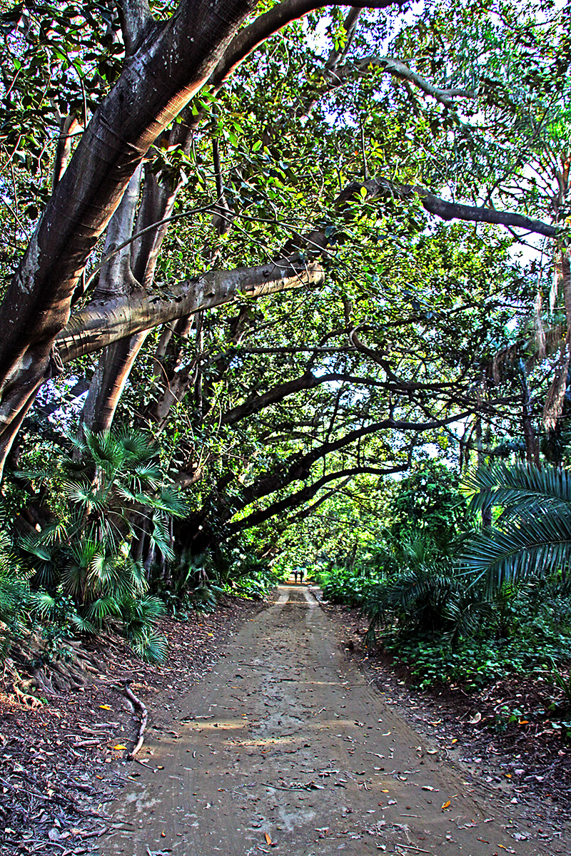 jardin d'essais el hamma