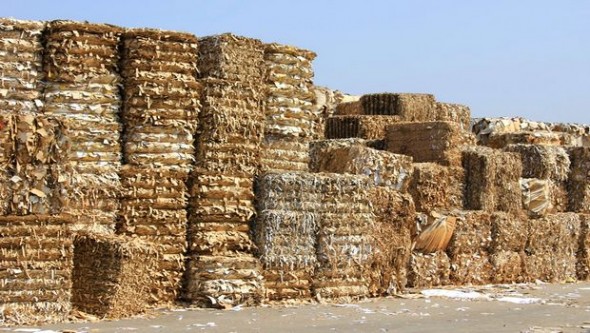 Six points de collecte de papier et carton installés à Alger