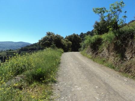 Printemps avec verdure et soleil