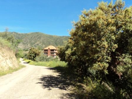 Printemps avec verdure et soleil