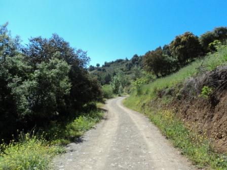 Printemps avec verdure et soleil