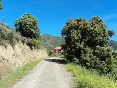 Printemps avec verdure et soleil