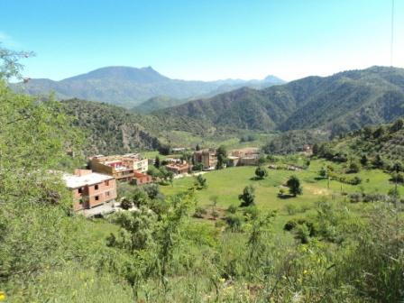Printemps avec verdure et soleil
