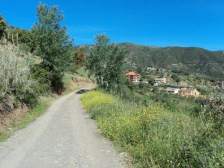 Printemps avec verdure et soleil