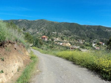 Printemps avec verdure et soleil