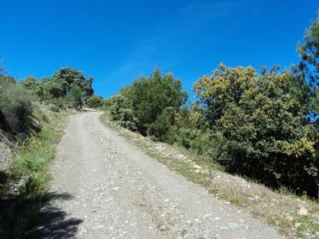 Printemps avec verdure et soleil