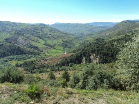 Printemps avec verdure et soleil