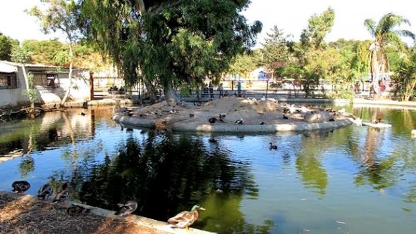 Algérie - L’administration des forêts sera réhabilitée (ministre)