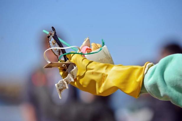 Planète - Littoral: la leçon de Surfrider, «Jeter par terre, c'est jeter en mer»