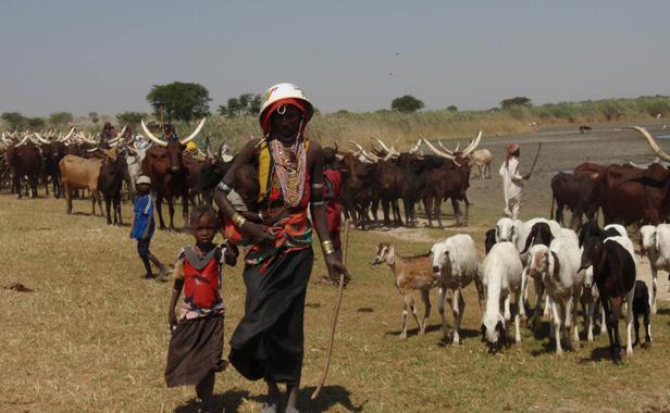 Planète - Elles ont vu le changement climatique sur le pas de leur porte