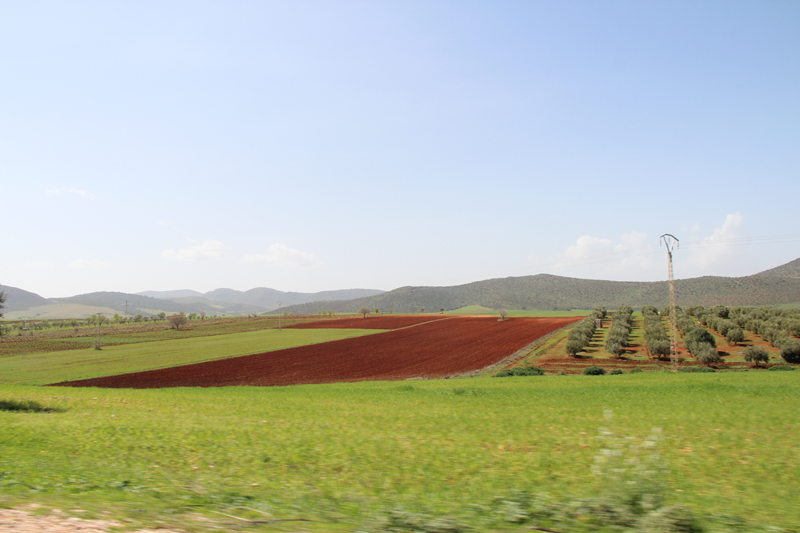Sur la route de SAADNIA