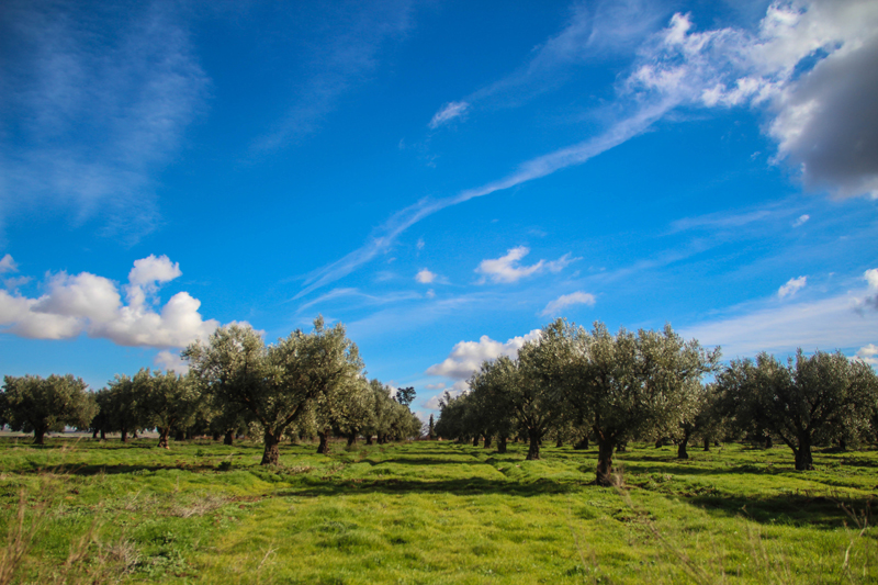 Sur la route de Sid Sofi