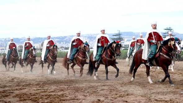 Salon national du cheval en mai prochain à Tiaret
