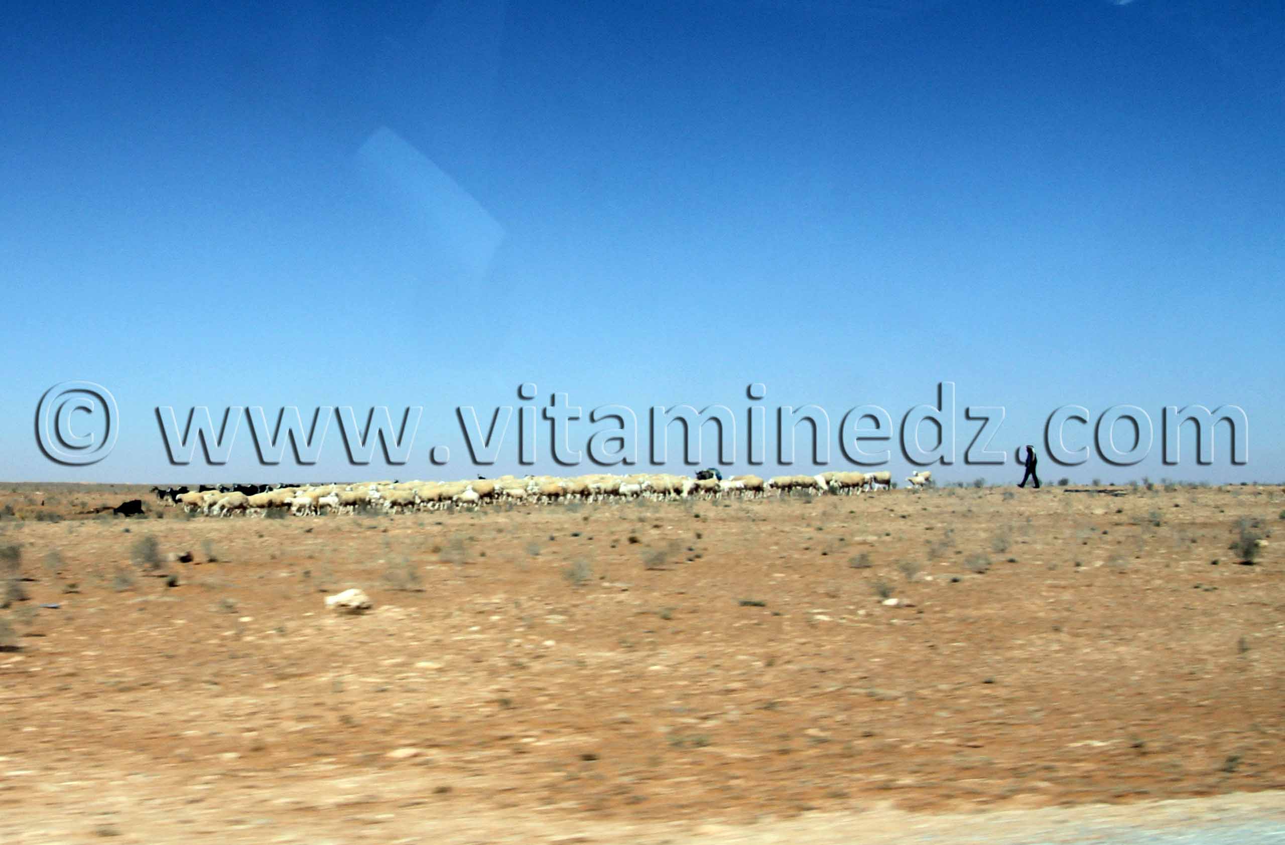 Commune d'El Bnoud (Wilaya d'El Bayadh)