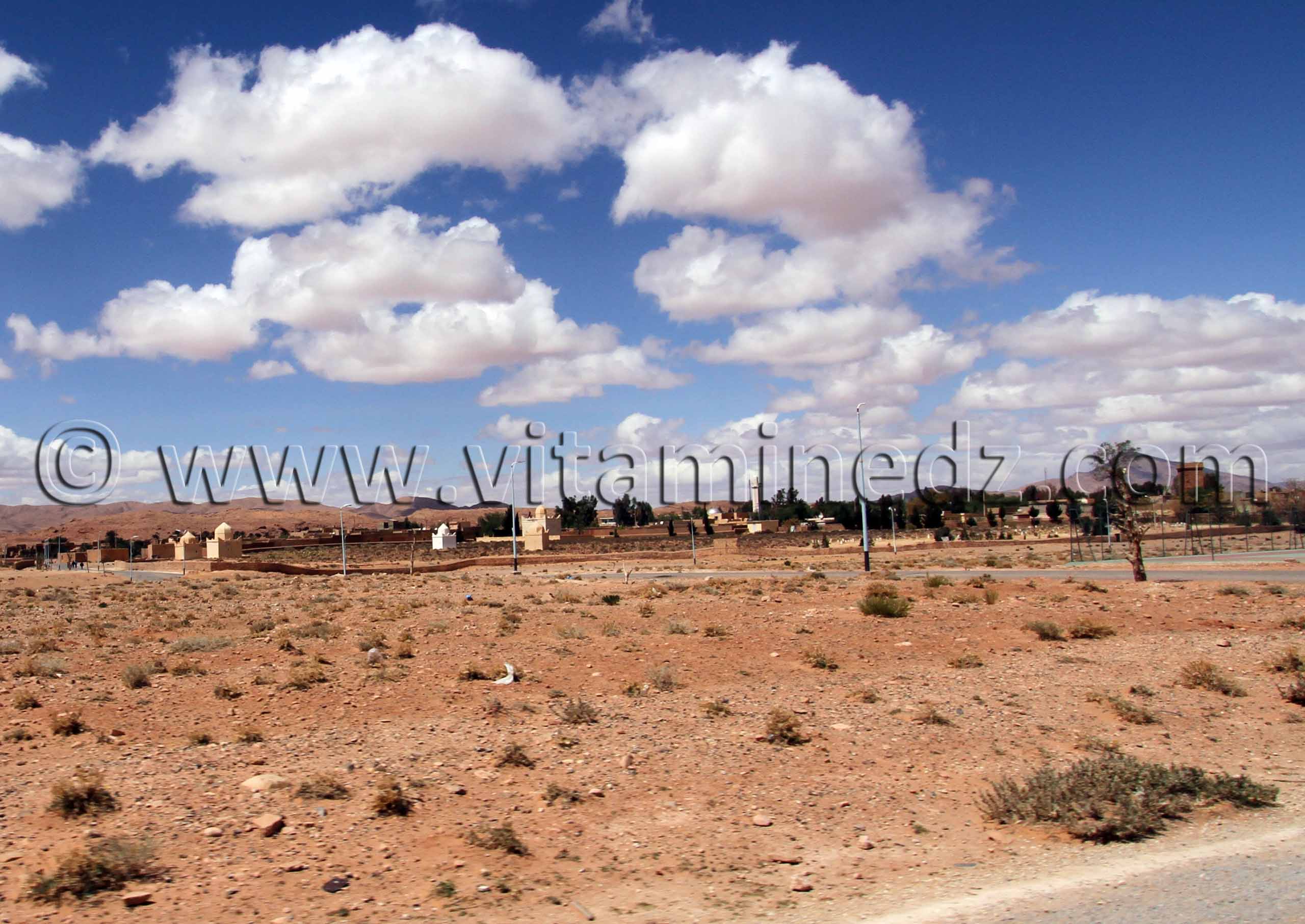 rencontre femme el bayadh