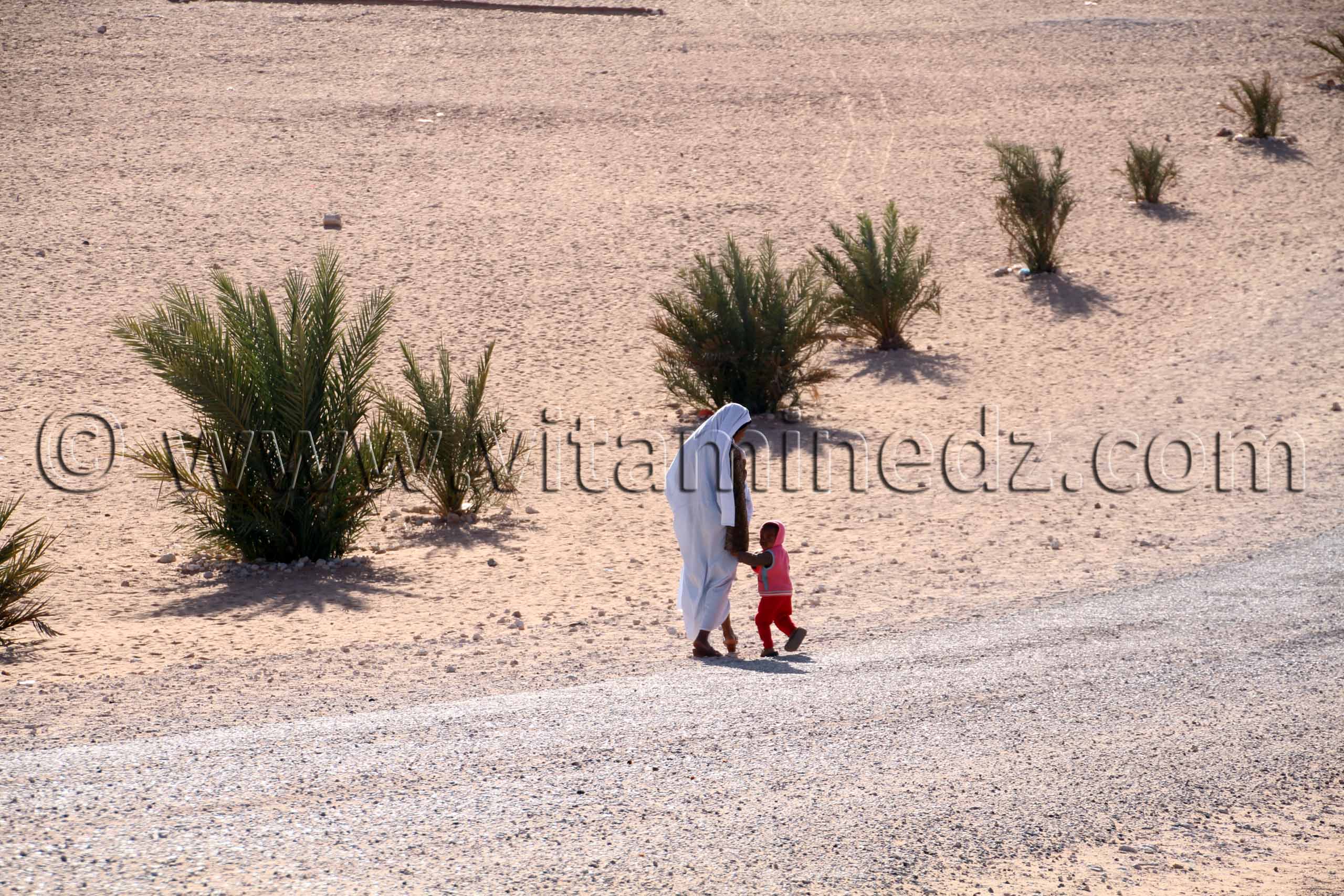 Scene de Guentour- Commune Ouled Aissa (Adrar)