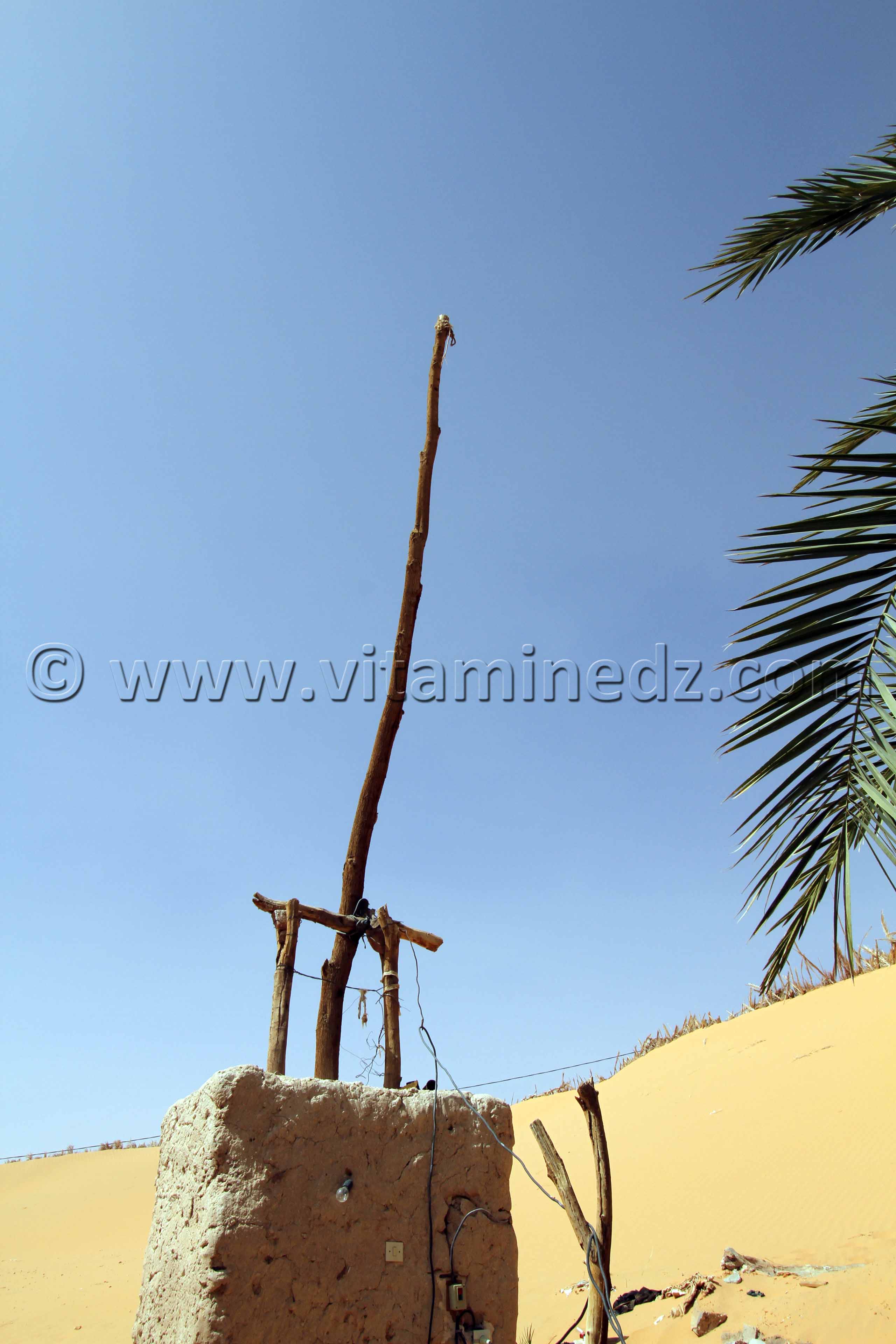 Irrigation traditionnelle à Guettouf, Commune de Talmine Wilaya d'Adrar