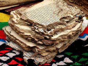 Manuscrit attaqué par les termites, Ouled Saïd Algérie