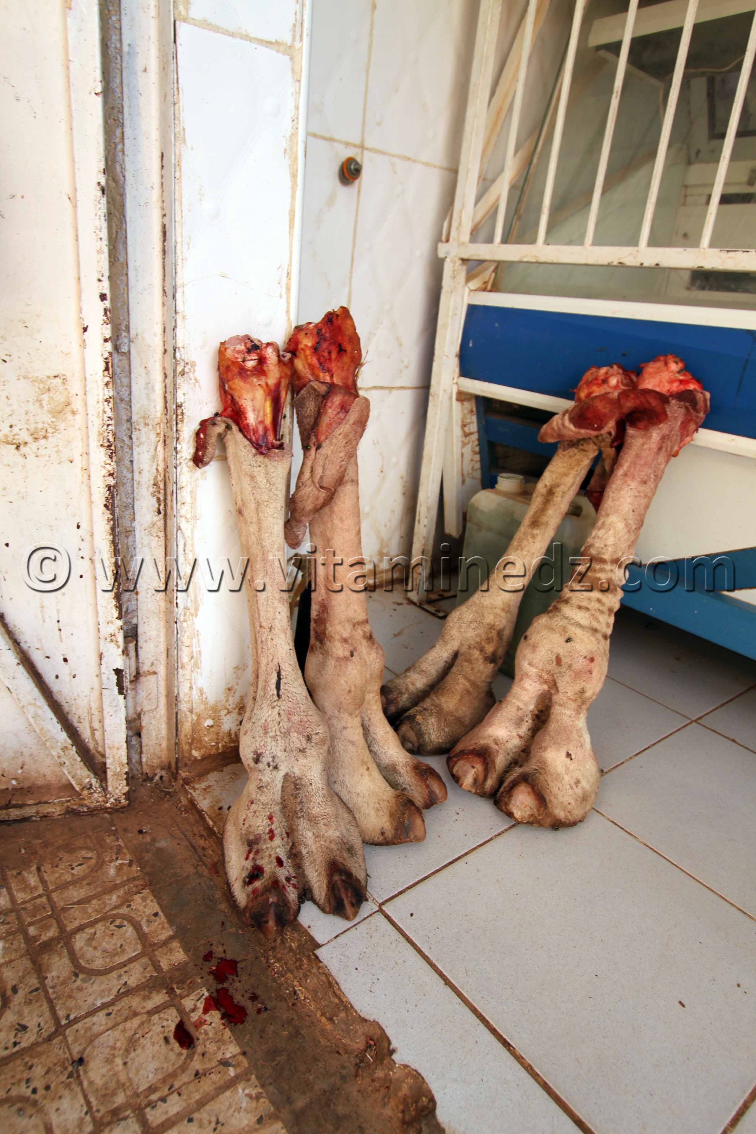 Tourisme Timimoun  Marché de Timimoun, Pieds de chameaux chez le boucher