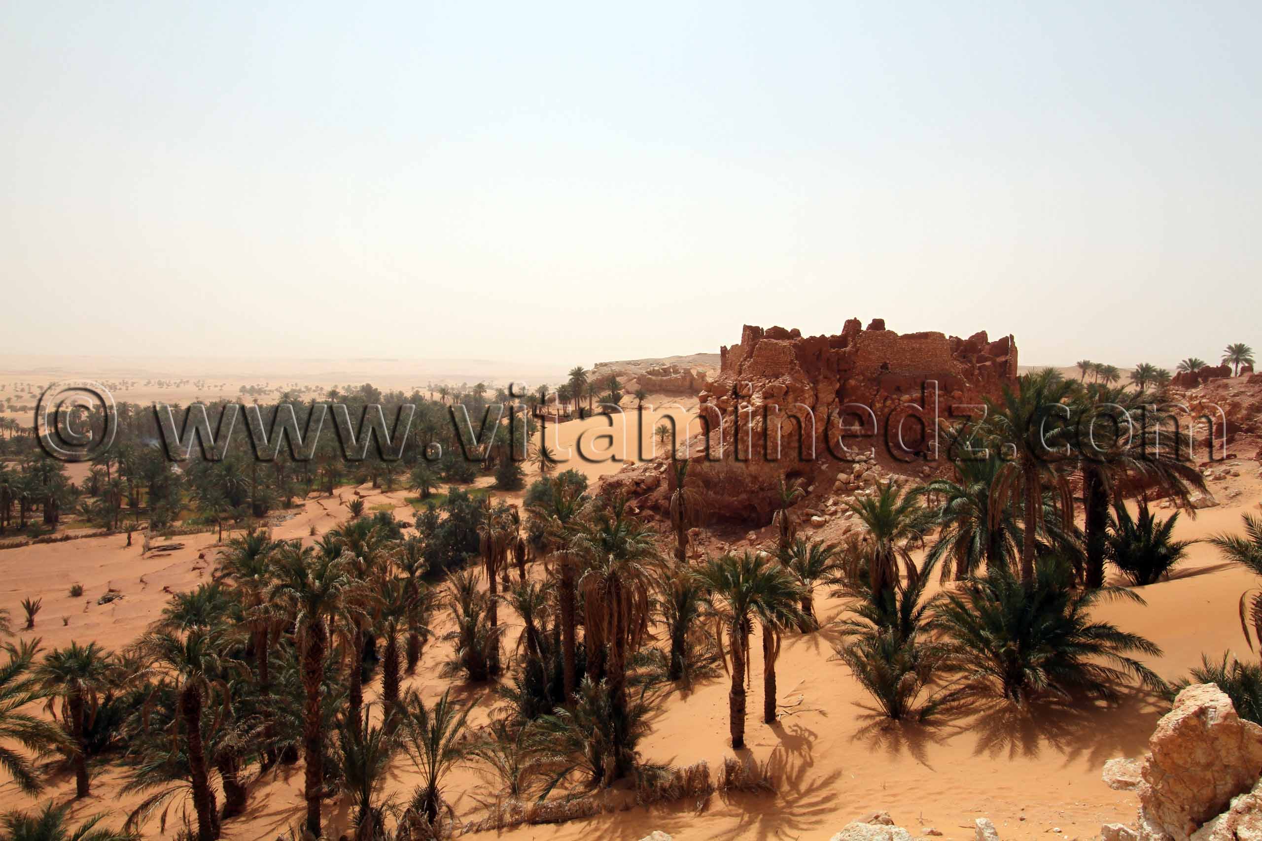 Ksar de Guentoure Commune Ouled Aissa (W. Adrar)