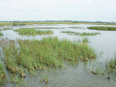 Bethioua (Oran) -  Les habitants dénoncent l’atteinte à la zone humide