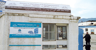 Exploitation de Liège à Béjaïa:  Une entreprise face à des difficultés pour écoulement de son produit...