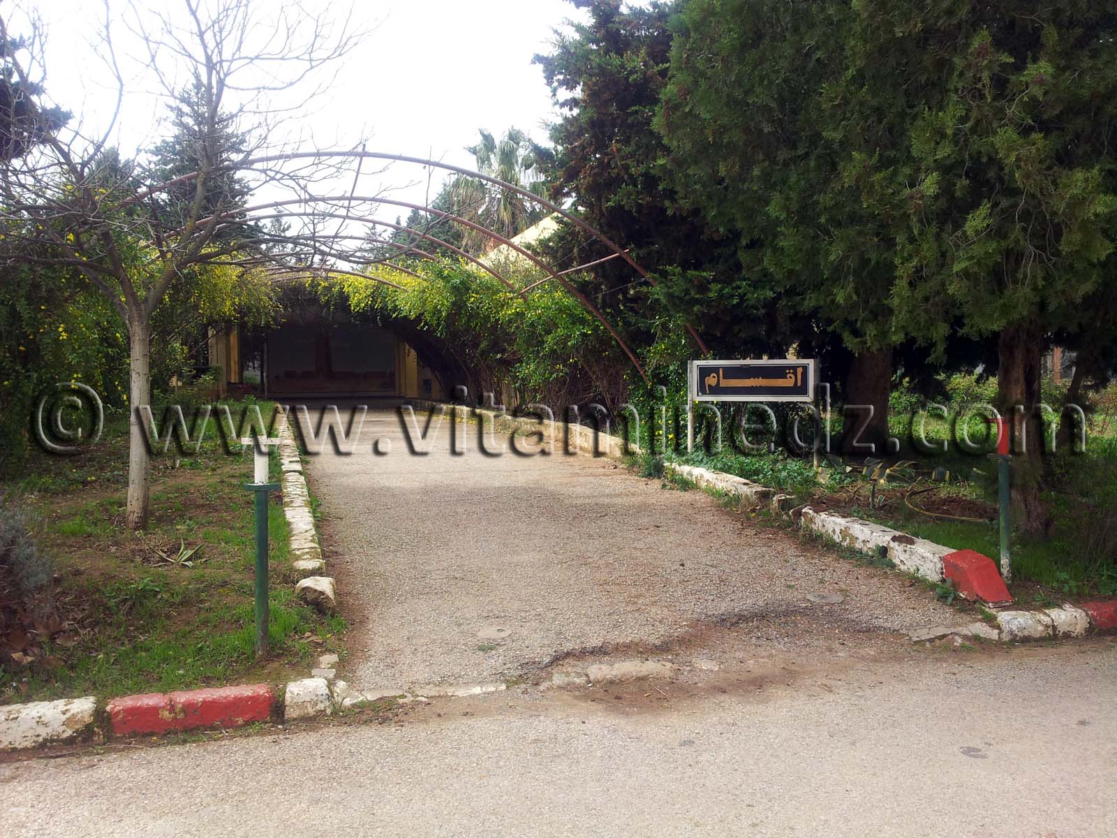 Centre Veterinaine de Mansourah, Tlemcen