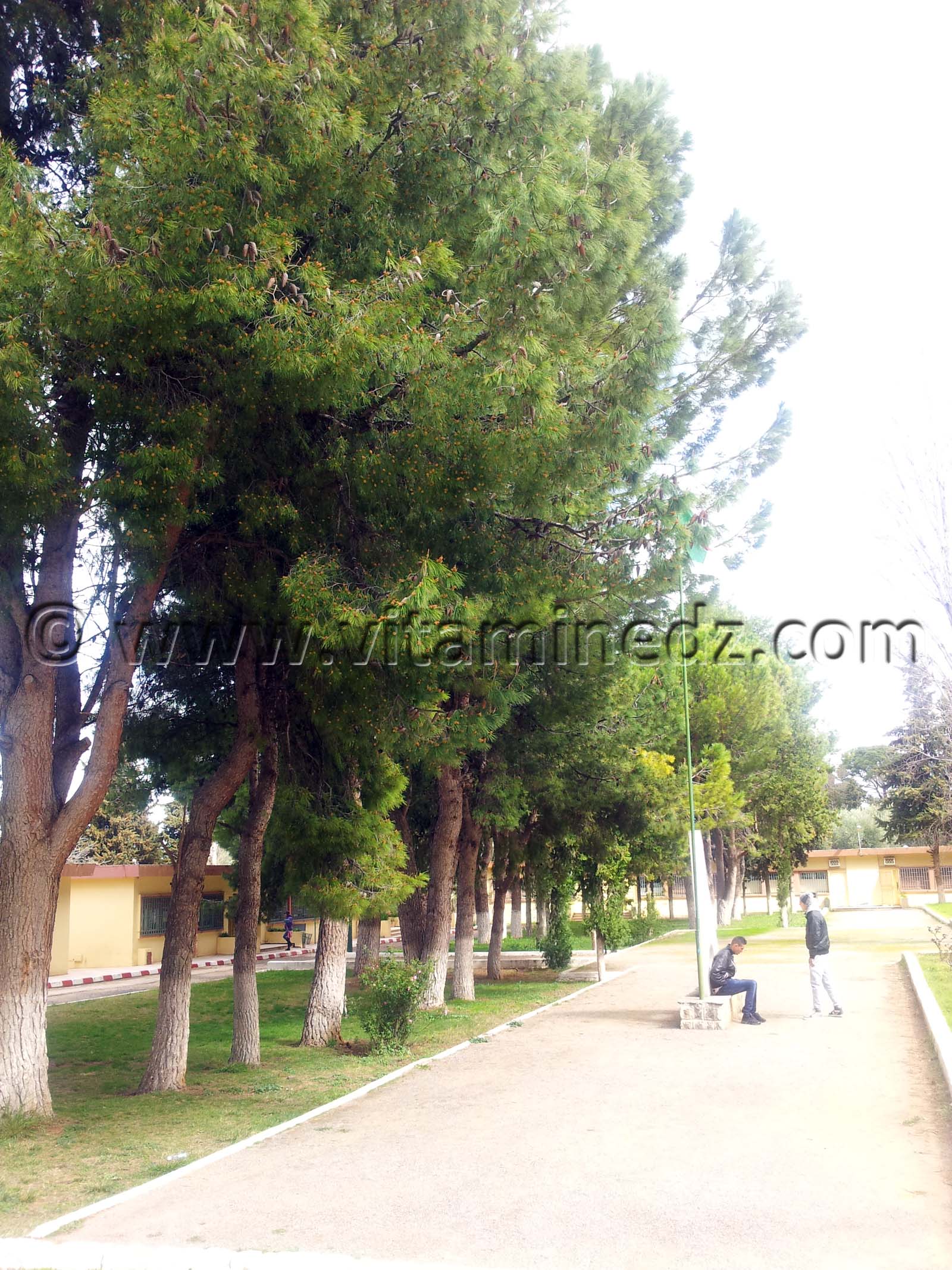 Centre Veterinaine de Mansourah, Tlemcen