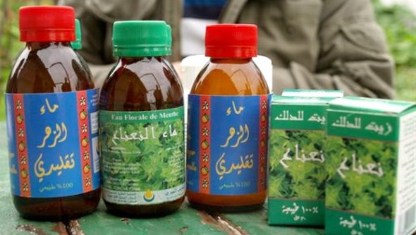 Salon sur les PNR d’Oran: un ouvrage sur les plantes aromatiques et médicinales 