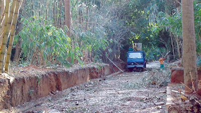 Jardin d’Essai du Hamma à Alger:  Le poumon de la capitale s’asphyxie