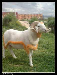 « Terre dhistoire et de Nature »