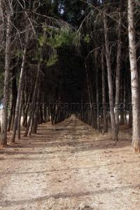 Un coin de paradis accessible à partir de l\'autoroute Est Ouest à SBA