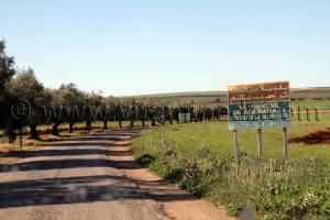 Bienvenue commune de Ain Nekrouf par la route communale W9