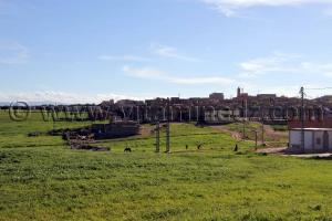 Ain Nekrouf, (Tlemcen)