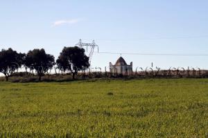 Marabout - Sidi Belabbes - Commune de Sidi Daho