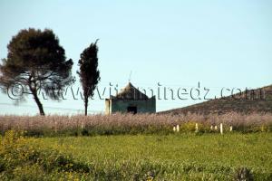 Marabout Sidi Belabbes - Commune de Sidi Daho