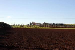 Ferme coloniale Commune Sidi Ali Boussidi (Ex Aïn el Hadjar puis Parmentier)