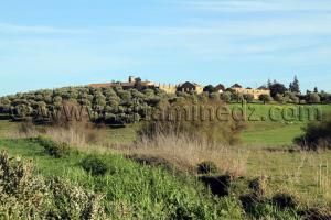 Ancien domaine colonial Commune Sidi Ali Boussidi (Ex Aïn el Hadjar puis Parmentier)