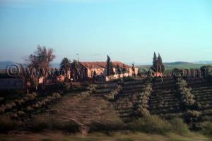 Ferme coloniale Sidi Bel Abbes - Commune de Sehala