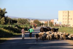 Entrée de Sehala - Sidi Bel Abbes