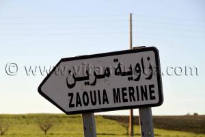 Zaouia Merine , Sidi Bel Abbes - Commune de Sehala