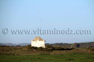 Marabout à Sidi Hamadouche Sidi Bel Abbes