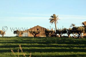 Ferme coloniale a Sidi Hamadouche (anciennement Les Trembles) Sidi Bel Abbes